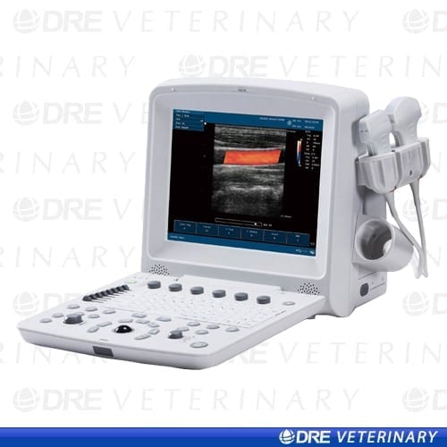 Veterinary Ultrasound