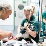New Veterinary Clinic Setup in Vancouver, British Columbia