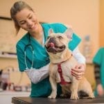 Setting Up a New Veterinary Practice?